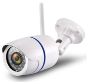 Wireless surveillance camera